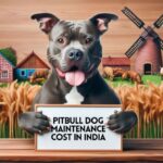 Black pitbull dog maintenance cost in India