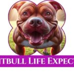 How Long Do Red Nose Pit Bulls Live?