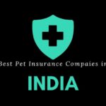 Cheapest Dog Insurance Price in India