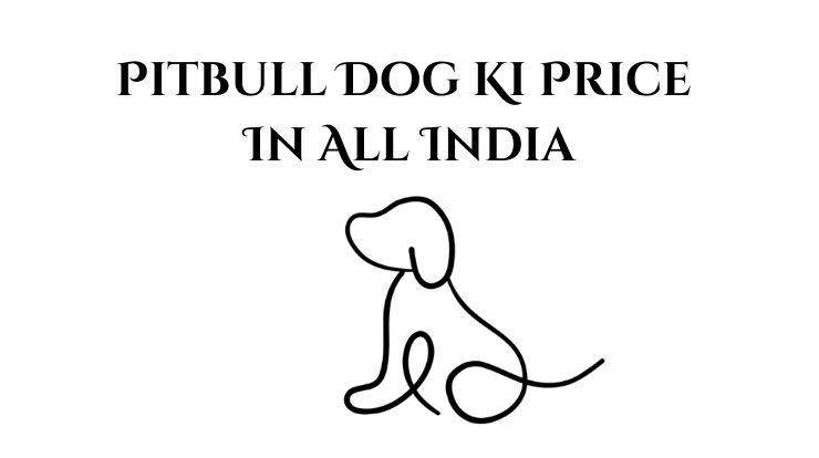 Pitbull Dog ki Price in India